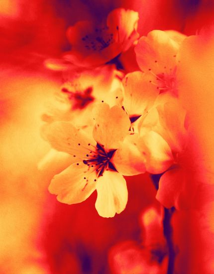 Untitled design - 2024-02-02T081558.672